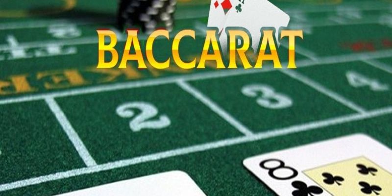 Đặt 1 ô khi chơi baccarat
