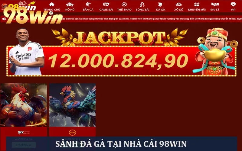 Sảnh đá gà tại 98WIN
