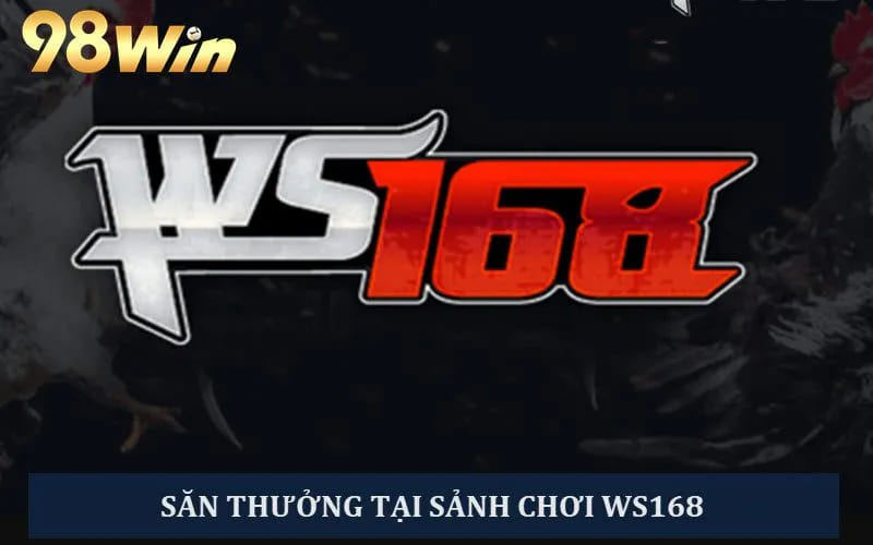 Sảnh đá gà WS168
